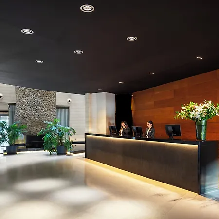 The Artist Grand Of Art